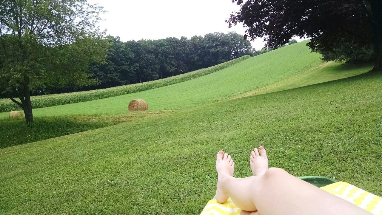grass, green color, low section, relaxation, person, tree, field, leisure activity, lifestyles, resting, grassy, relaxing, landscape, personal perspective, nature, tranquility