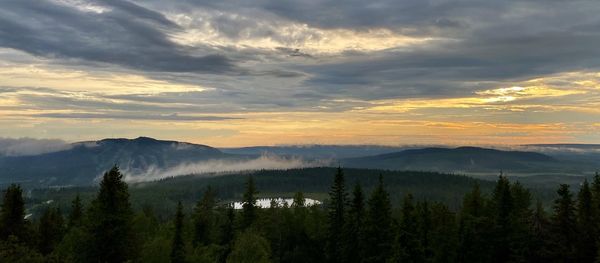 Scenic view of forest against sky during sunset