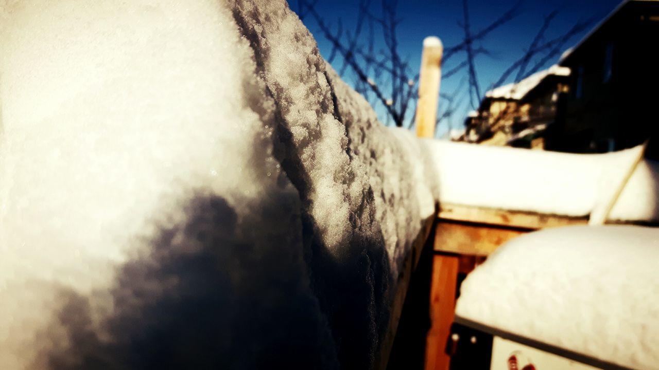 CLOSE-UP OF HUMAN HAND IN SUNLIGHT