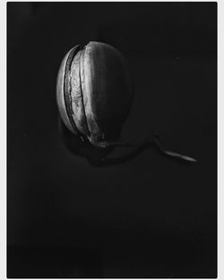 Close-up of bread on table against black background