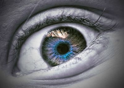 Cropped image of person eye