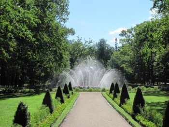 Panoramic view of park in garden against sky