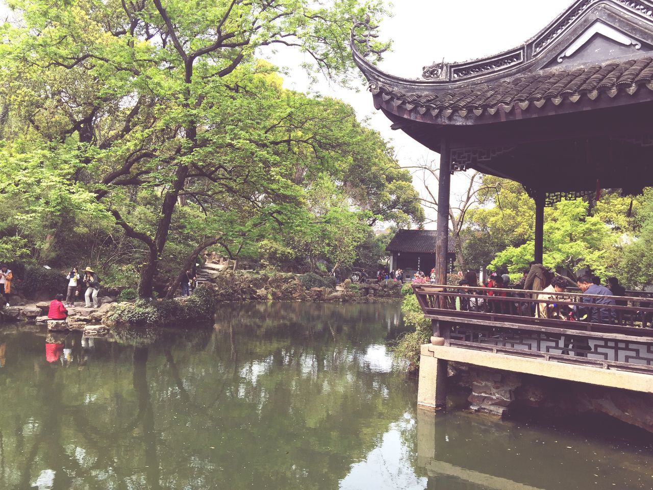 tree, water, nature, day, growth, outdoors, built structure, green color, beauty in nature, architecture, no people, sky