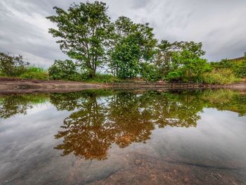 Reflection of trees in lake against sky