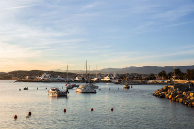 Sailboats moored in harbor