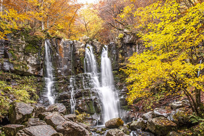 Close-up of waterfall against trees