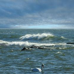 Scenic view of sea against sky