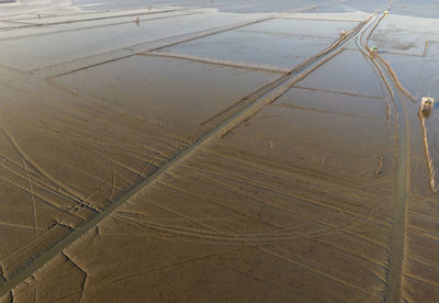 Aerial drone view of coastal mudflat. natural blue carbon sink and carbon capture. nature landscape.
