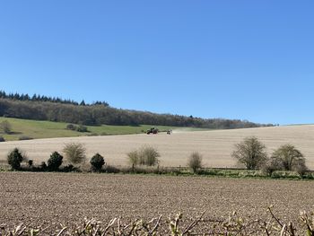 Scenic view of agricultural field against clear blue sky