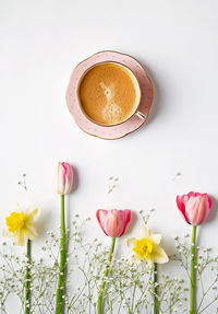 Close-up of coffee cup with pink flowers