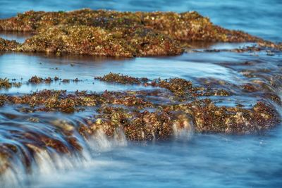 Scenic view of sea