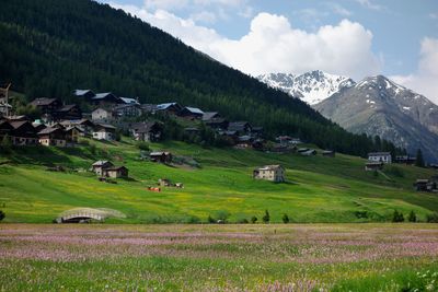 Scenic view of field and houses against mountains