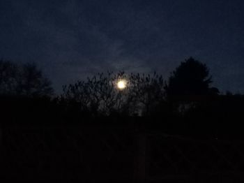 Low angle view of silhouette trees against sky at night