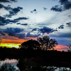 Silhouette trees on landscape against sky during sunset