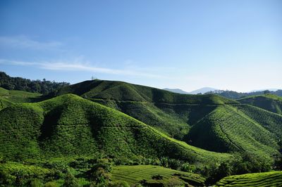 Scenic view of green landscape against sky