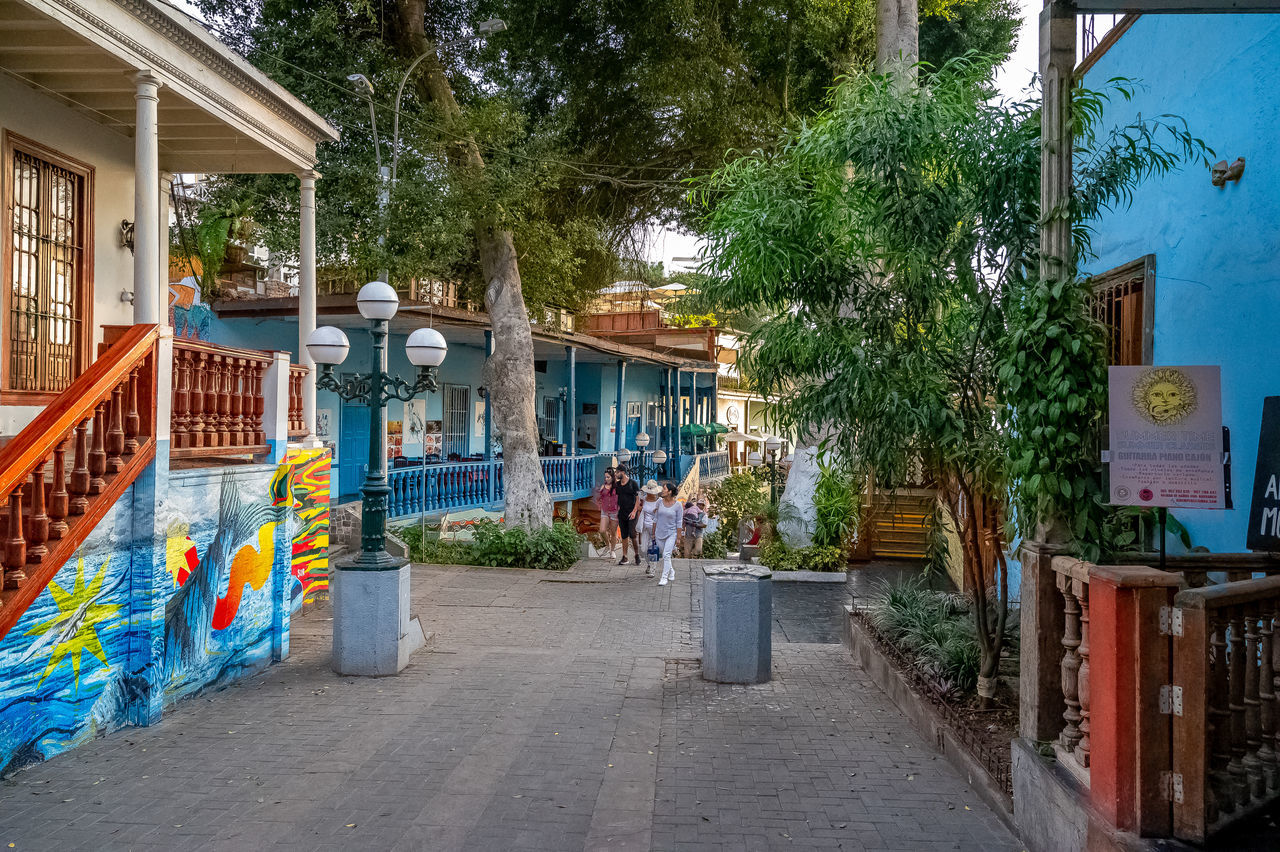 architecture, built structure, building exterior, tree, plant, building, nature, day, house, men, city, real people, direction, residential district, footpath, incidental people, street, people, the way forward, outdoors