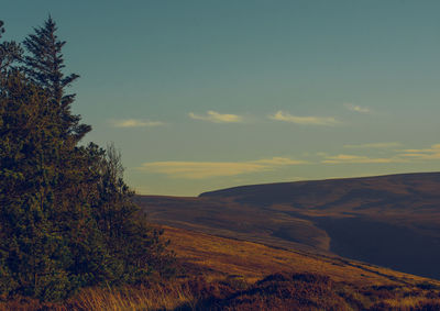 Scenic view of landscape against sky during sunset