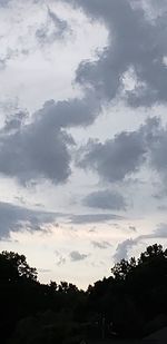 Low angle view of silhouette trees against sky