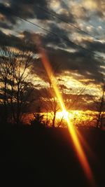 Silhouette of trees at sunset