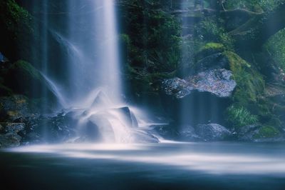 Scenic view of waterfall in forest