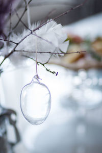 Close-up of crystal ball hanging on branch