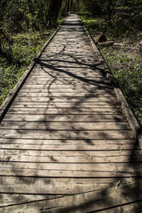 Surface level of wooden boardwalk along plants