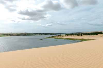 Scenic view of beach against sky