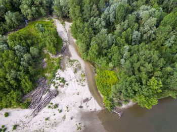 High angle view of stream amidst trees in forest