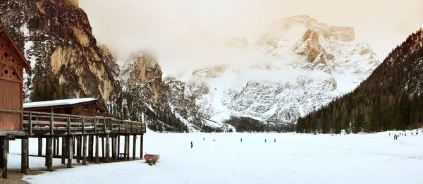 Panoramic shot of snow covered land against trees