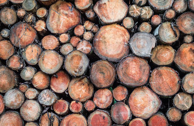 Full frame shot of logs