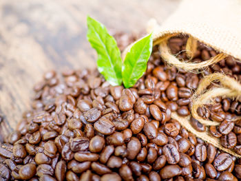 Close-up of coffee beans