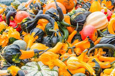 Full frame shot of squashes