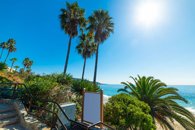 Palm trees by swimming pool against sky