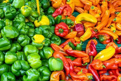 Colorful variation of peppers for sale at a market