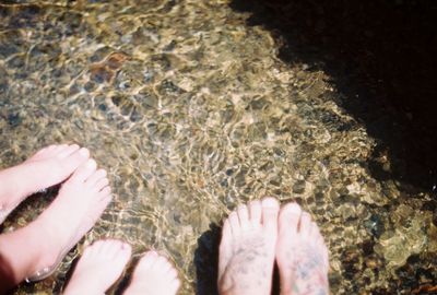 Low section of woman on beach