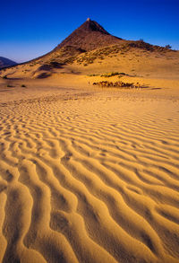 Scenic view of desert against clear sky