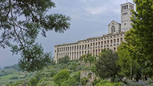 Low angle view of trees and building against sky