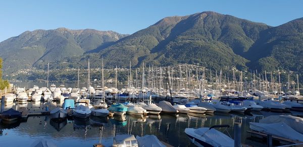 Sailboats moored at harbor