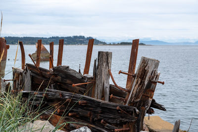 Wooden posts on beach against sky