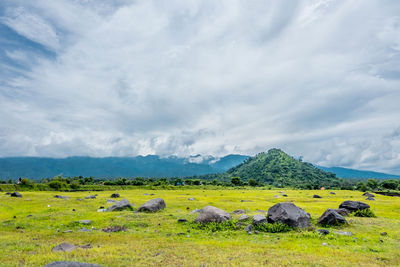 Scenic view of landscape against sky