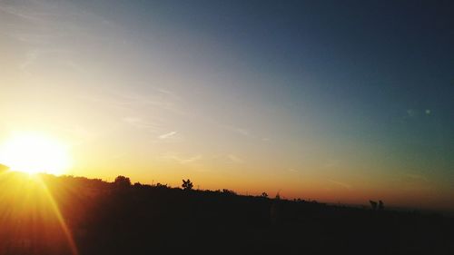 Silhouette trees on field against sky at sunset