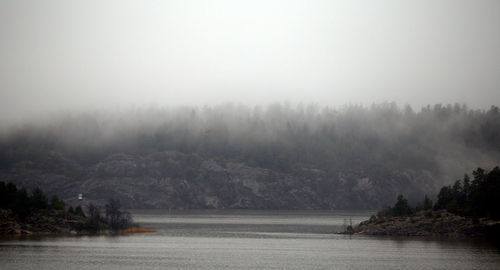 Trees on landscape against sky during foggy weather