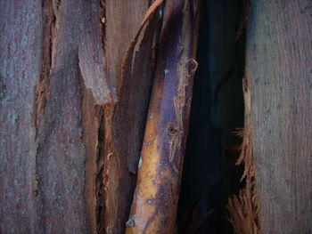 Close-up of weathered wall