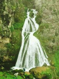 Scenic view of waterfall in forest