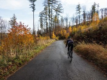 Rear view of man riding horse on road