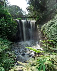 Scenic view of waterfall in forest