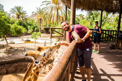 Portrait of mid adult man feeding giraffe in zoo