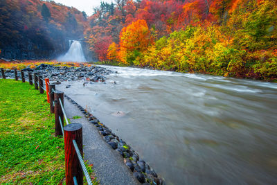 Scenic view of waterfall in forest during autumn