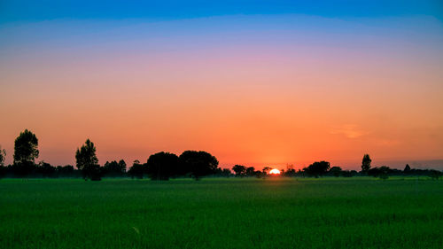 Scenic view of field against sky during sunset