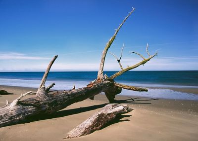 Scenic view of sea against blue sky